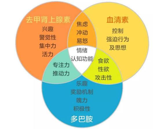 抑郁症能不能被彻底治愈,不再复发?
